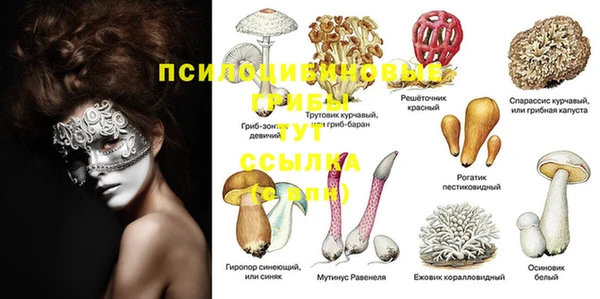 дживик Беломорск